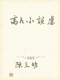 高h小说虐