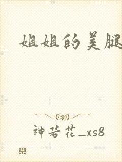 姐姐的美腿