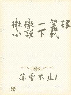 微微一笑很倾城小说下载