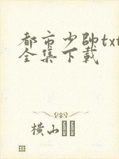 都市少帅txt全集下载