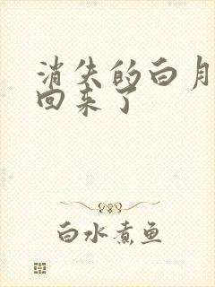 消失的白月光又回来了