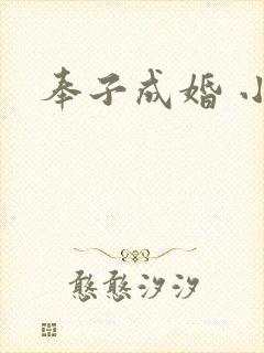 奉子成婚 小说