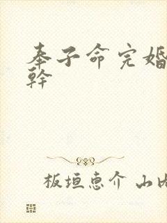 奉子命完婚 高干