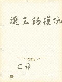 辽王的复仇小妾