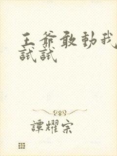 王爷敢动我妈咪试试