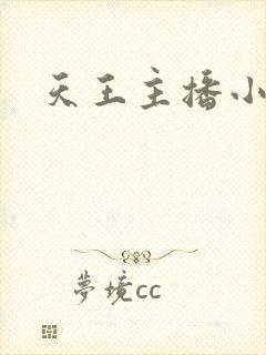 天王主播小说