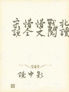 宋惜惜战北望小说全文阅读