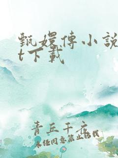 甄嬛传小说txt下载