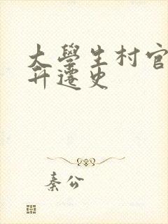 大学生村官艳遇升迁史