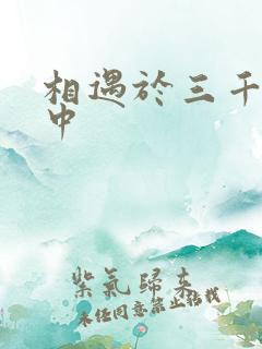 相遇于三千肉文中