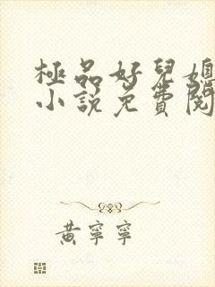 极品好儿媳苏灿小说免费阅读