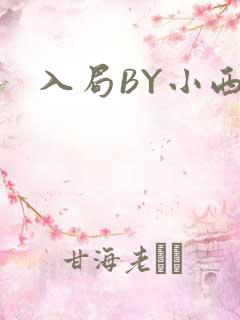 入局BY小西