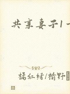 共享妻子1一2