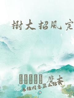 树大招风完整版