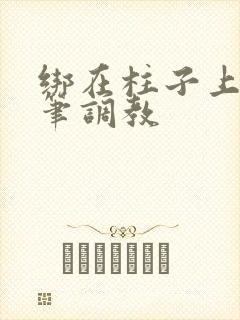 绑在柱子上用毛笔调教