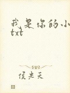 我是你的小小狗txt