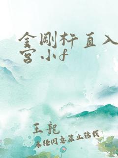 金刚杵直入莲花宫小f