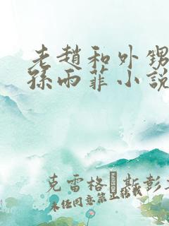 老赵和外甥媳妇孙雨菲小说