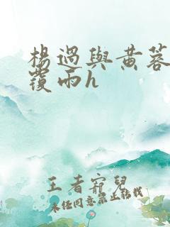 杨过与黄蓉翻云覆雨h