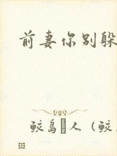 前妻你别躲