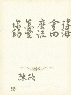 你怎么舍得让我的爱流向海