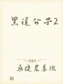 黑道公子2