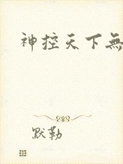 神控天下无弹窗