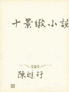 十景缎小说