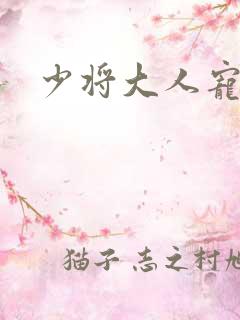 少将大人宠宠我