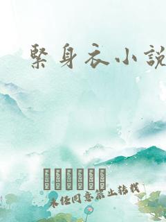 紧身衣小说