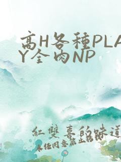 高H各种PLAY全肉NP