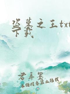 盗墓之王txt下载