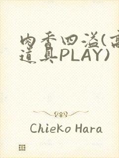 肉香四溢(高H道具PLAY)