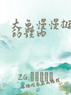 大龟慢慢挺进我的体内