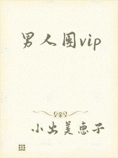 男人团vip