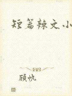 短篇辣文小说