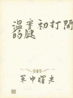 温实初打开眉庄的腿