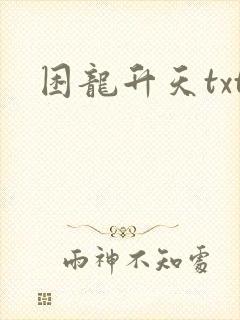 困龙升天txt
