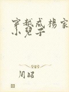 穿越成杨家将最小儿子