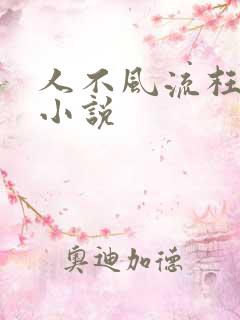 人不风流枉少年小说