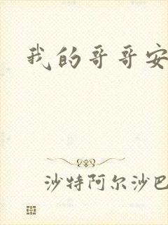 我的哥哥安小天