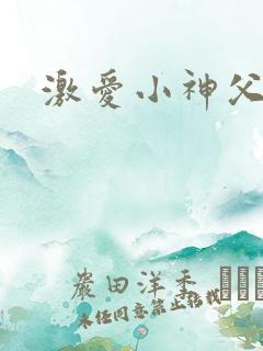 激爱小神父
