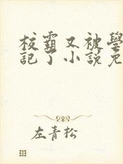 校霸又被学神标记了小说免费阅读