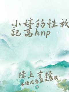 小婷的性放荡日记高hnp