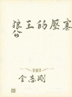 狼王的压寨小相公