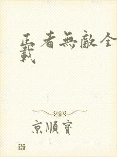 正者无敌全集下载