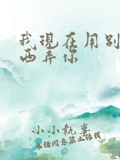 我现在用别的东西弄你