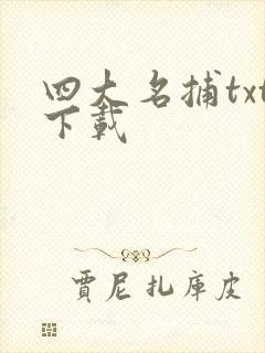 四大名捕txt下载