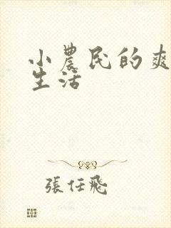 小农民的爽歪歪生活