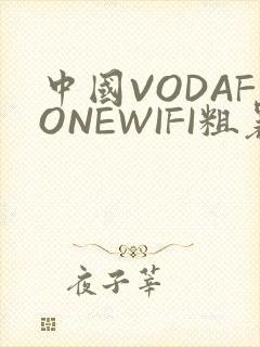 中国VODAFONEWIFI粗暴APP